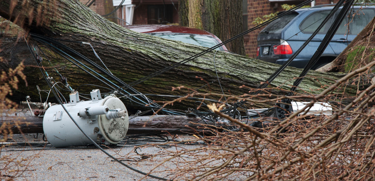 Fallen tree and downed power lines and transformer